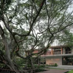 Twin Banyan Trees Define Anonym’s Baan Saikhoo Residence in Thailand