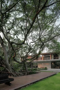 Twin Banyan Trees Define Anonym’s Baan Saikhoo Residence in Thailand