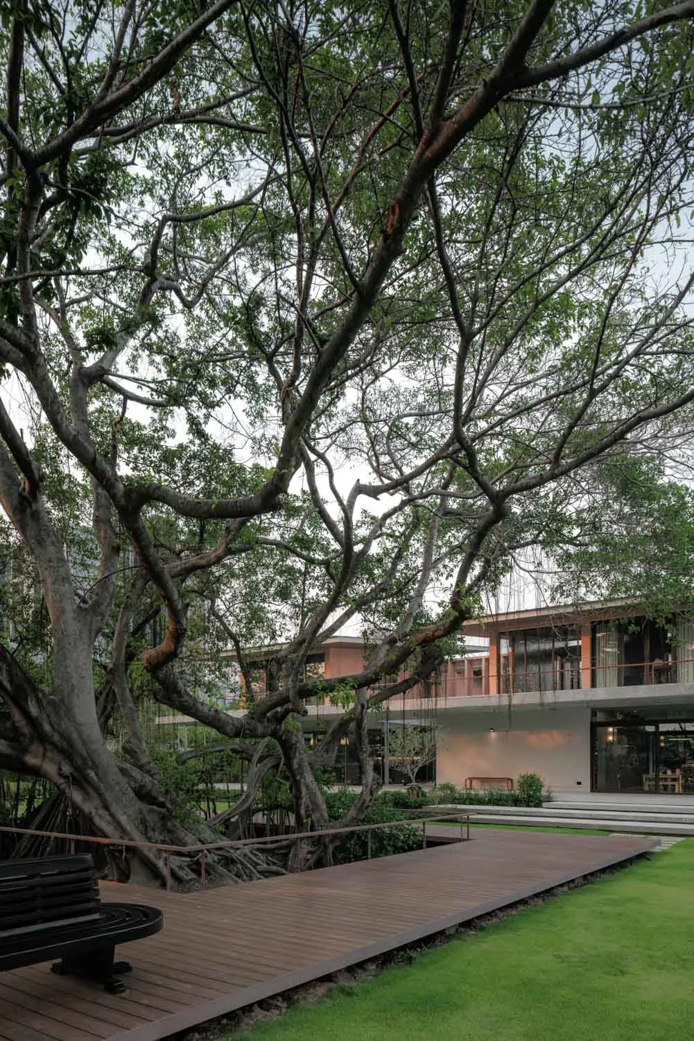 Anonym’s Baan Saikhoo Residence Wraps Everyday Living Around Twin Banyan Trees in Thailand 7 Twin Banyan Trees Define Anonym’s Baan Saikhoo Residence in Thailand