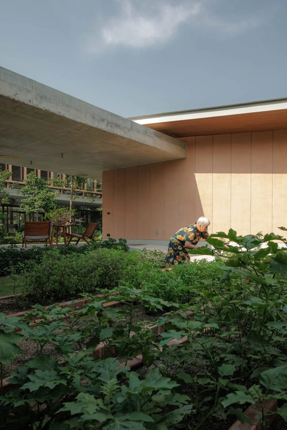 Anonym’s Baan Saikhoo Residence Wraps Everyday Living Around Twin Banyan Trees in Thailand 6 Baan Saikhoo