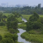 Hainan Science Museum in Haikou Creates a Floating Spiral World of Science and Nature