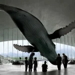 The Whale by Dorte Mandrup in Andenes, is a Coastal Landmark Emerging from the Arctic Sea