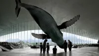 The Whale by Dorte Mandrup in Andenes, is a Coastal Landmark Emerging from the Arctic Sea