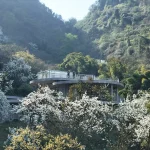 Archermit’s Feixue Pavilion