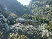 Archermit’s Feixue Pavilion