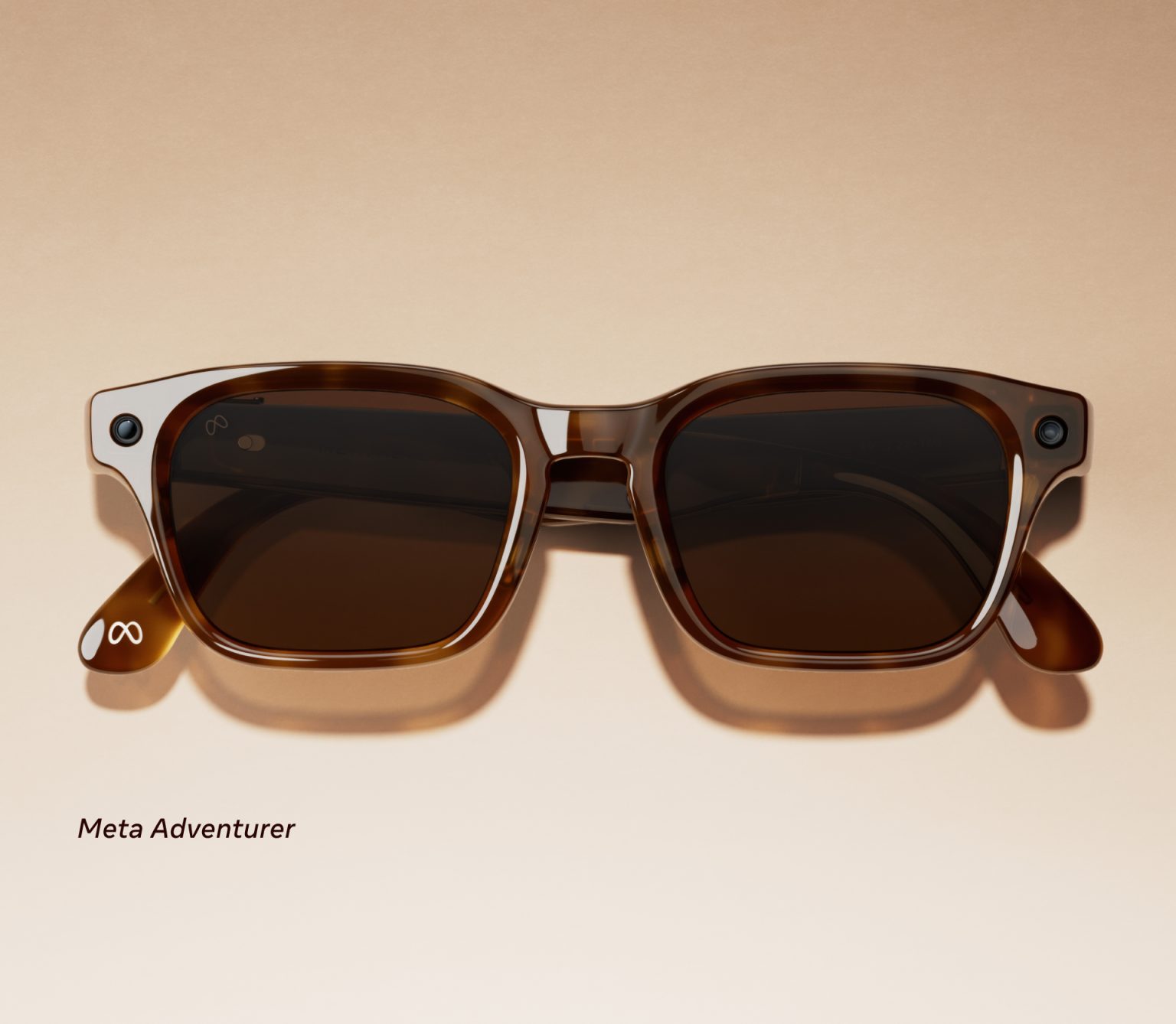 Meta AI Glasses