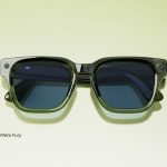 Meta AI Glasses