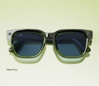 Meta AI Glasses