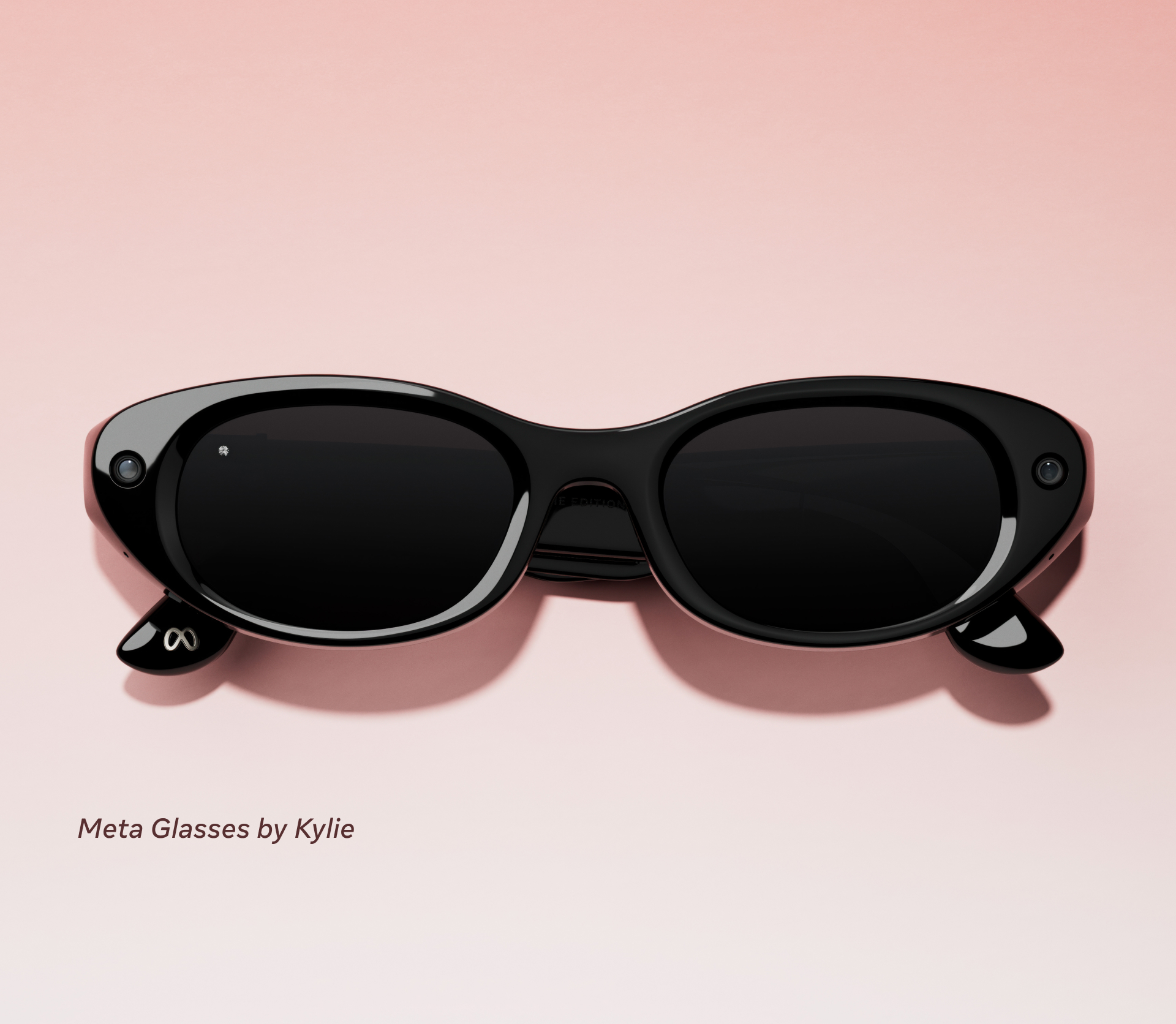 Meta AI Glasses