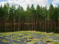 BIG’s The Plus Factory Wins RIBA International Award for Excellence 2026