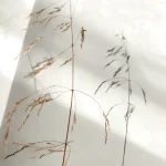 A Biophilic Year