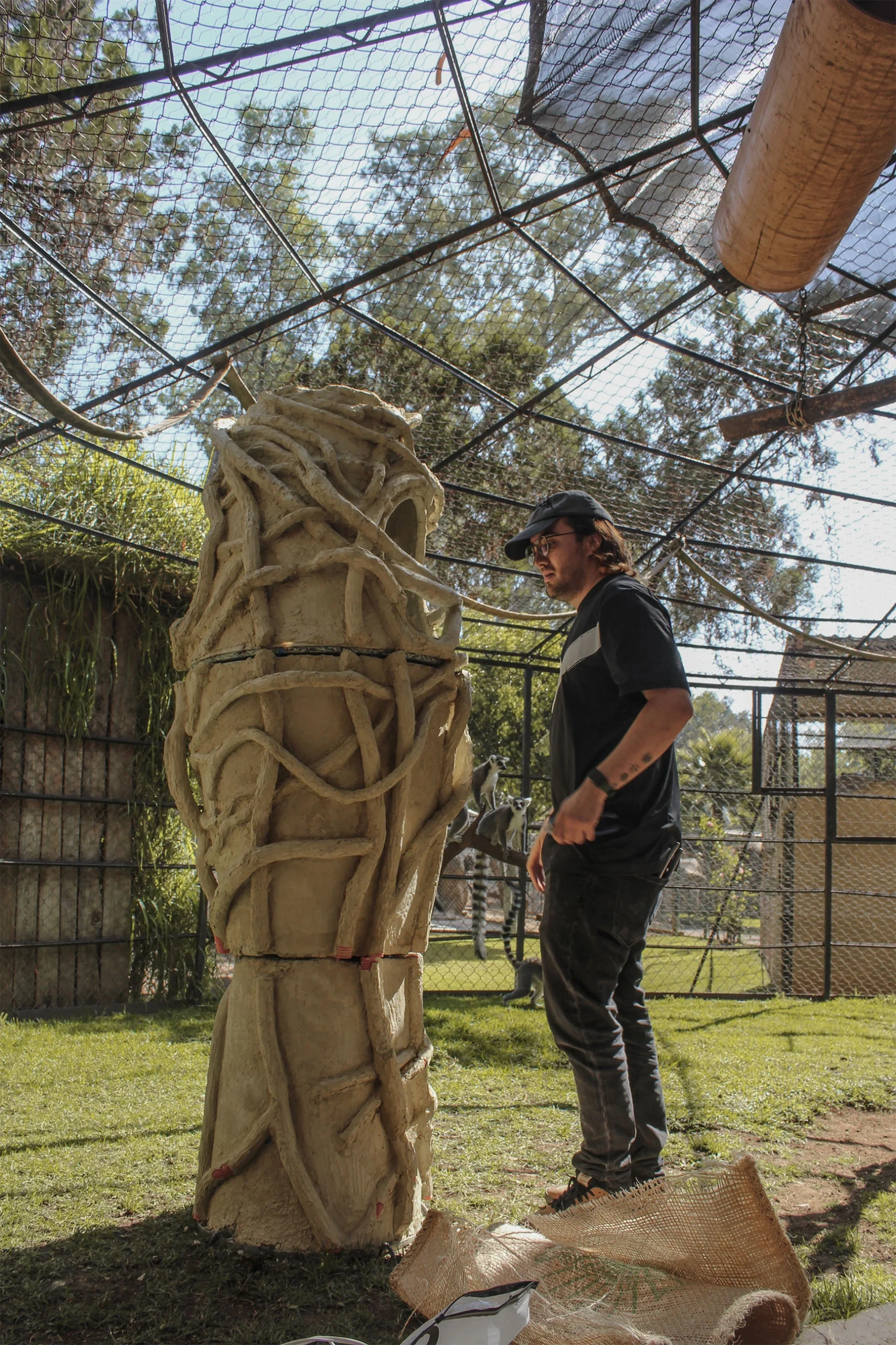 Baobab Shelter: How Biomimetic and Parametric Design is Transforming Lemur Welfare at Morelia Zoo 20 Baobab Shelter