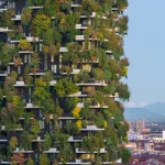 Cooling Cities Through Design: Architecture in an Age of Heat