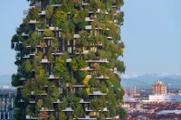Cooling Cities Through Design: Architecture in an Age of Heat