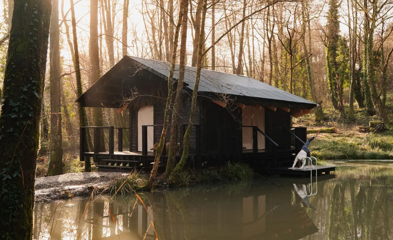 Built Works Designs Yogi’s Cabin in the Woods to Encourage Yoga, Movement, and Slow Life