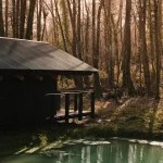 Built Works Designs Yogi’s Cabin in the Woods to Encourage Yoga, Movement, and Slow Life