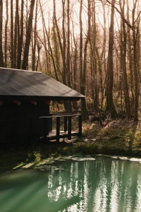 Built Works Designs Yogi’s Cabin in the Woods to Encourage Yoga, Movement, and Slow Life
