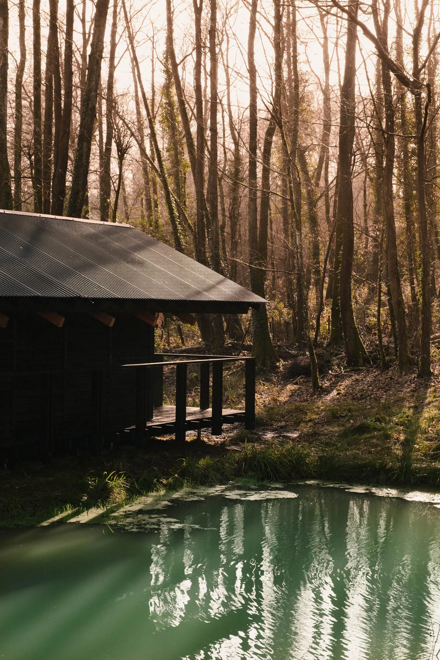 Built Works Designs Yogi’s Cabin in the Woods to Encourage Yoga, Movement, and Slow Life 6 Built Works Designs Yogi’s Cabin in the Woods to Encourage Yoga, Movement, and Slow Life