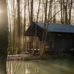 Built Works Designs Yogi’s Cabin in the Woods to Encourage Yoga, Movement, and Slow Life