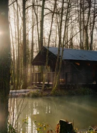 Built Works Designs Yogi’s Cabin in the Woods to Encourage Yoga, Movement, and Slow Life