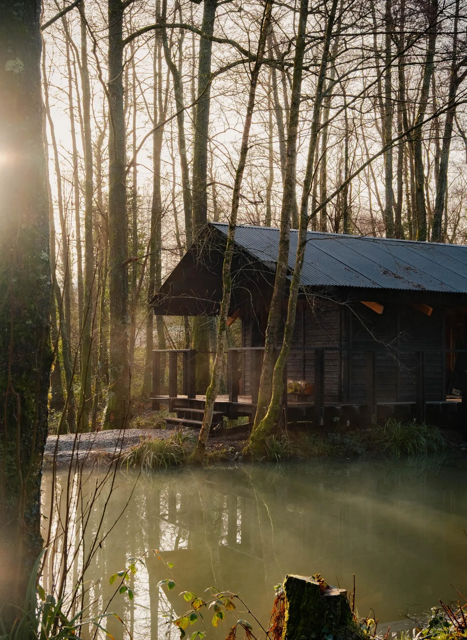 Built Works Designs Yogi’s Cabin in the Woods to Encourage Yoga, Movement, and Slow Life 5 Built Works Designs Yogi’s Cabin in the Woods to Encourage Yoga, Movement, and Slow Life