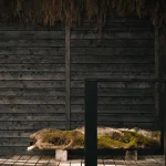 Built Works Designs Yogi’s Cabin in the Woods to Encourage Yoga, Movement, and Slow Life