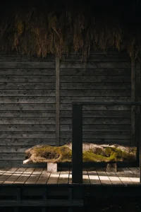 Built Works Designs Yogi’s Cabin in the Woods to Encourage Yoga, Movement, and Slow Life
