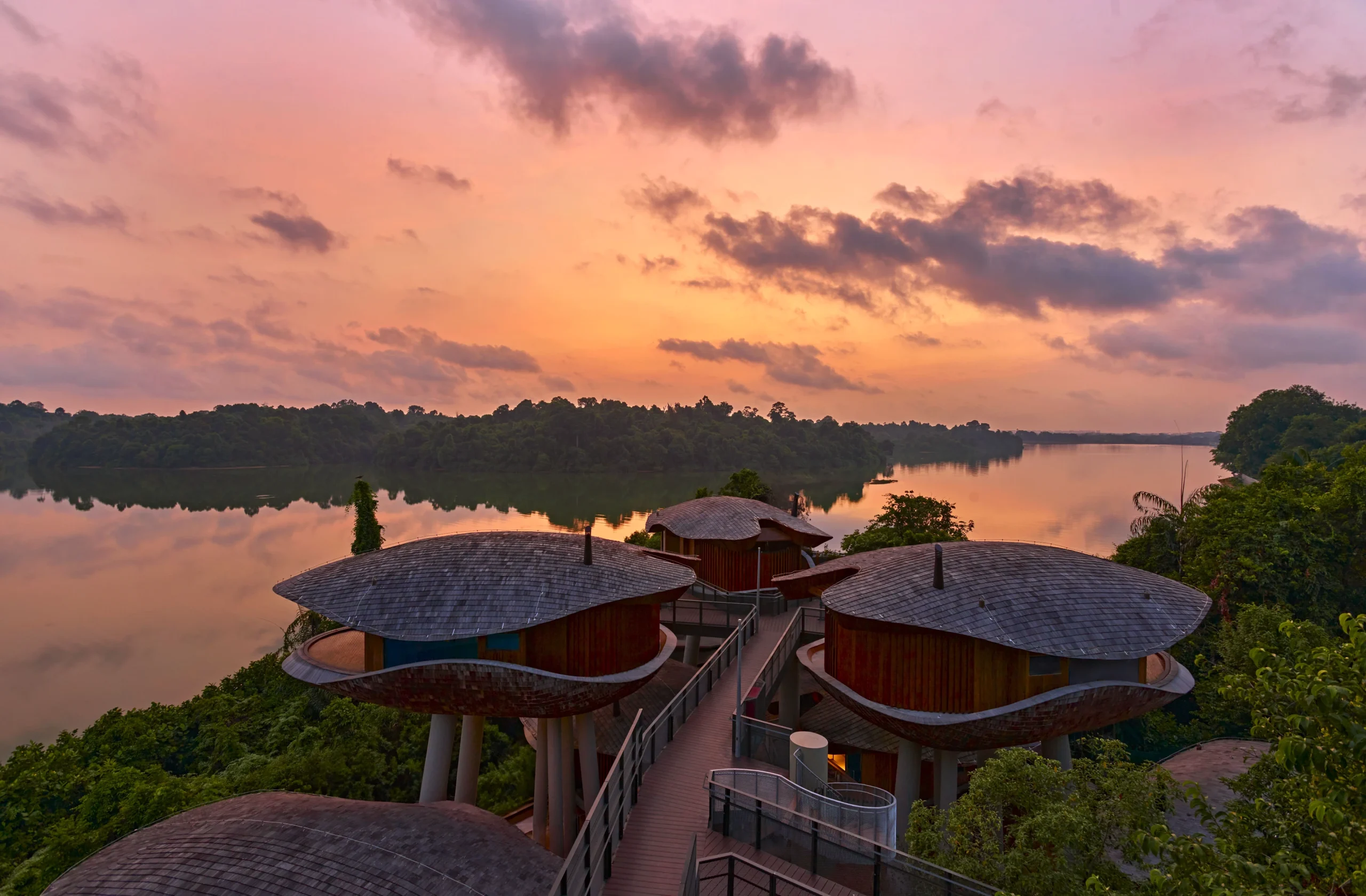 Mandai Rainforest Resort Singapore Emerges as a Sustainable Sanctuary 5 Mandai Rainforest Resort Singapore