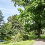 Peter Zumthor’s Expanded Fondation Beyeler Campus to Fully Open in 2027