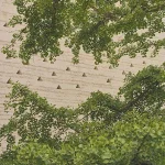 Peter Zumthor’s Expanded Fondation Beyeler Campus to Fully Open in 2027