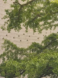Peter Zumthor’s Expanded Fondation Beyeler Campus to Fully Open in 2027