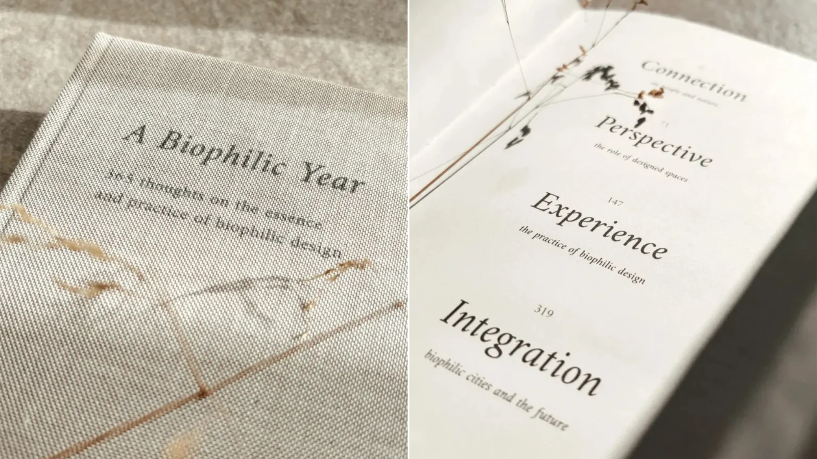 A Biophilic Year