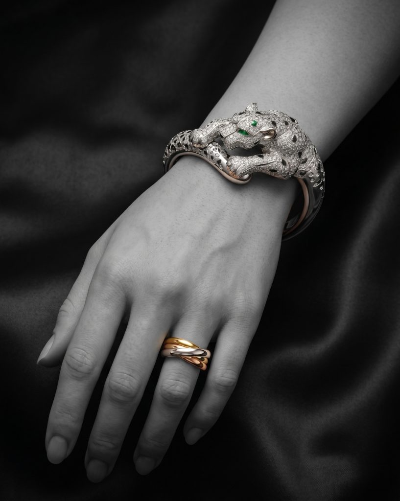Professional Jewelry Design with Rhino 8 8 Professional Jewelry Design with Rhino 8