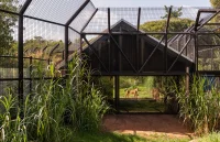 Zoo Architecture