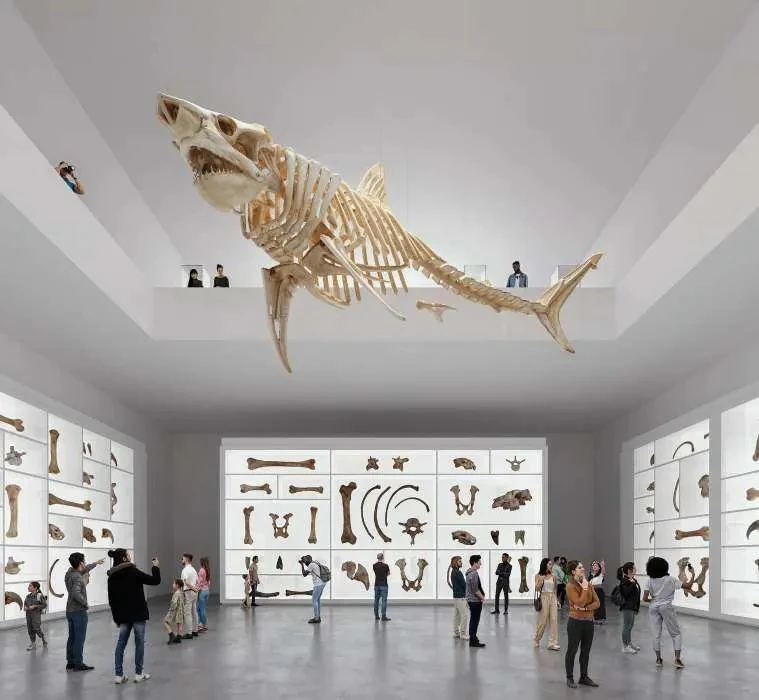 Controversy Erupts After Campo Baeza and MAODA Win Ecuador National Museum Competition 8 Controversy Erupts After Campo Baeza and MAODA Win Ecuador National Museum Competition