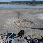 Europe Under Heat: The 2026 Heatwaves are a Stress Test for the Built Environment