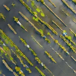 Loosdrecht Lakes, the Netherlands