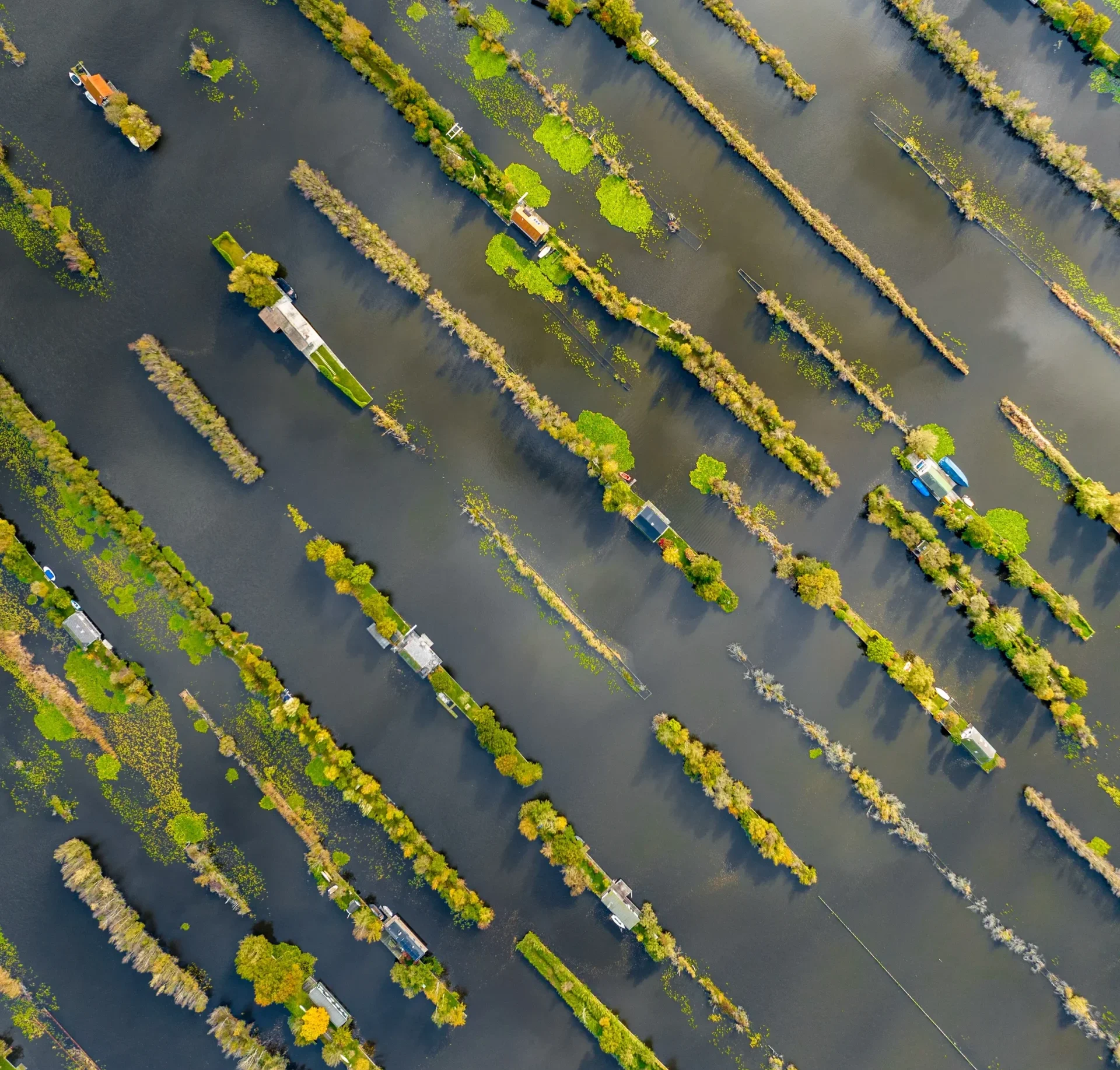Loosdrecht Lakes, the Netherlands