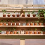 Studio Folk Architects and Raskl Bring Greenhouse Pavilion to the London Festival of Architecture