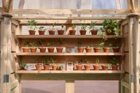Studio Folk Architects and Raskl Bring Greenhouse Pavilion to the London Festival of Architecture