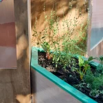 Studio Folk Architects and Raskl Bring Greenhouse Pavilion to the London Festival of Architecture