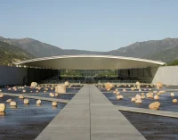 Vik Millahue Winery