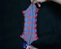 Harvard Unveils Shape-Shifting Knitted Fabric with Built-In Sensors