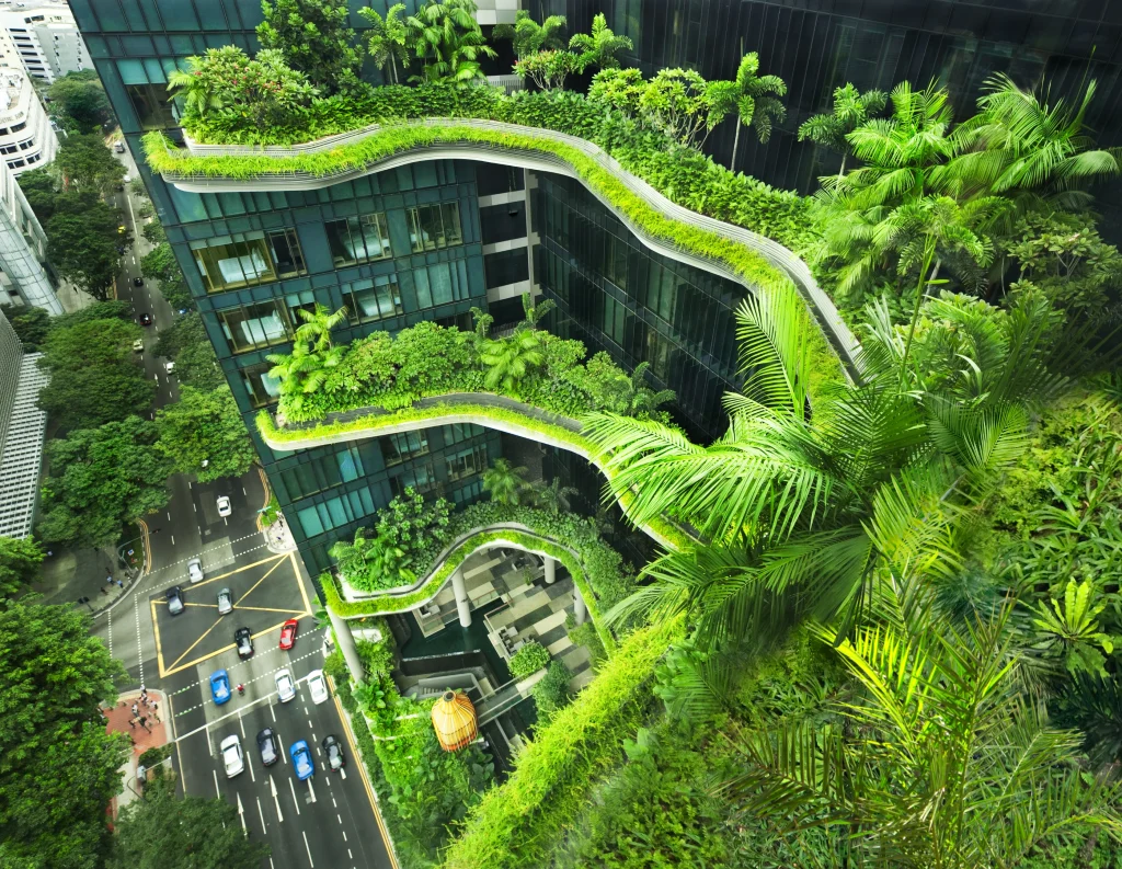 Richard Hassell - Rethinking Architecture