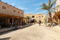 siwa oasis