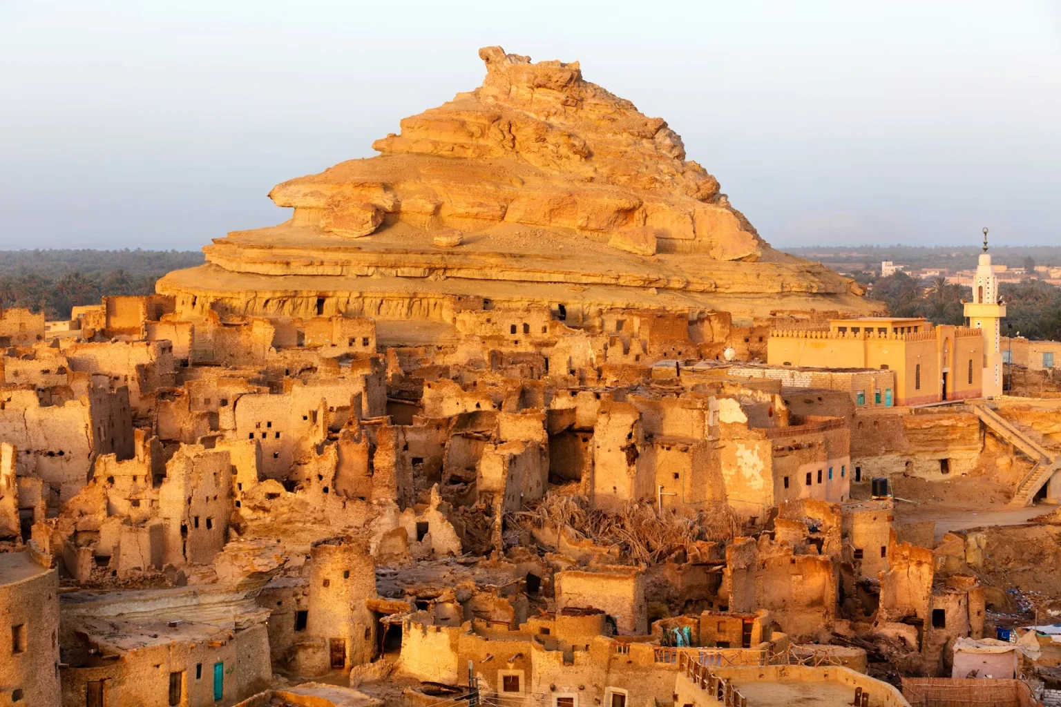 siwa oasis