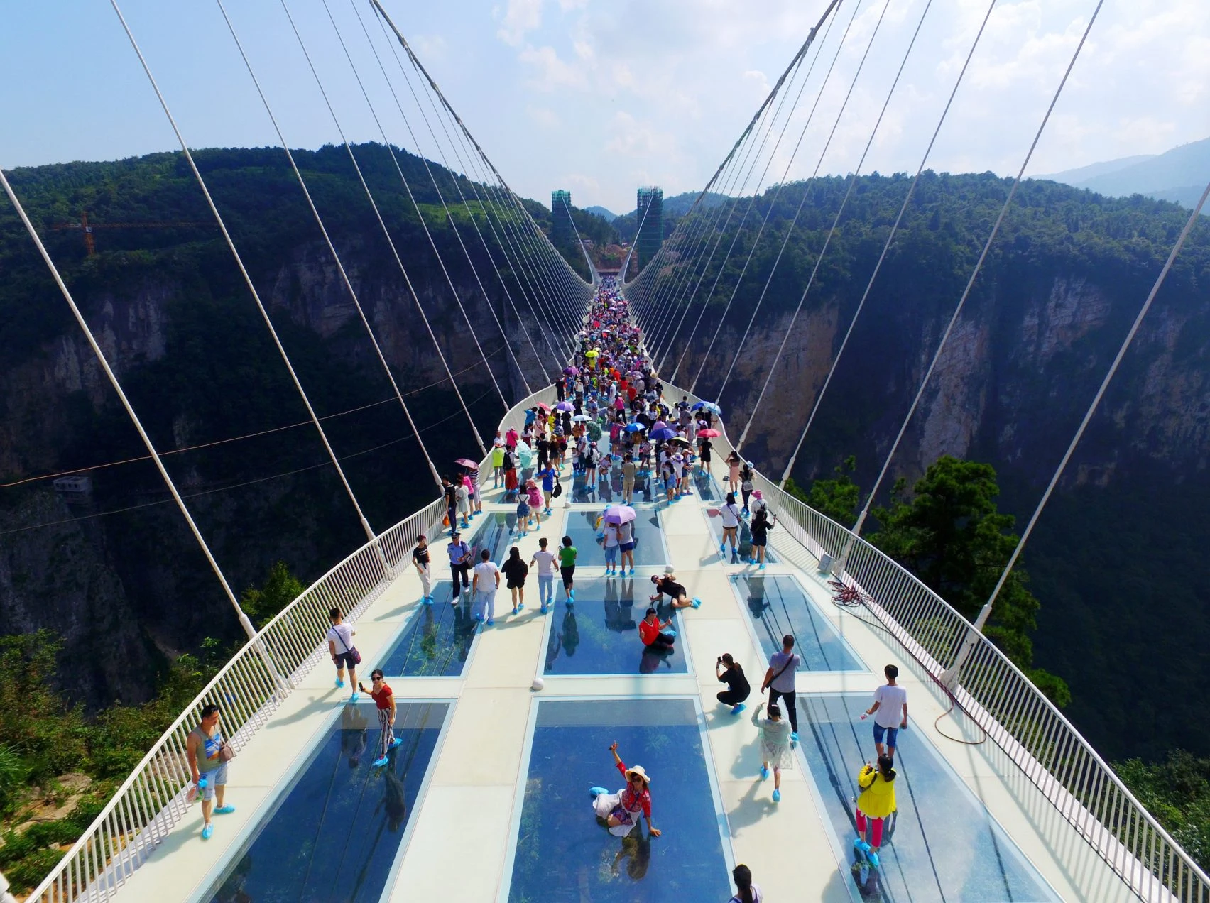 8 Breathtaking Glass Bridges That Feel Like Walking on Air 6 Glass Bridges