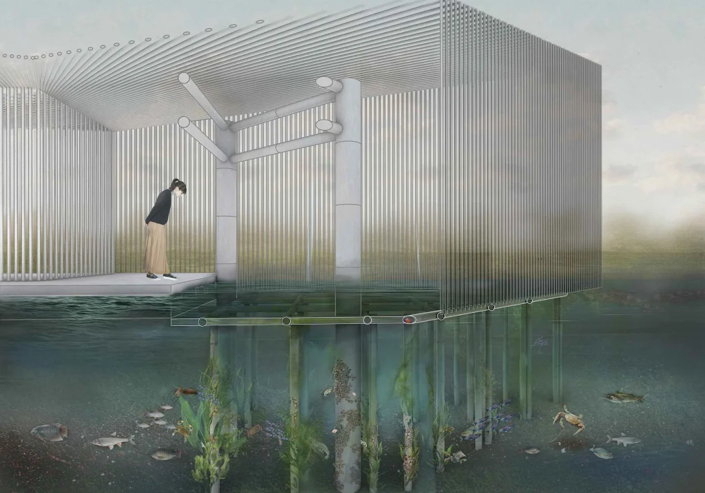 Pattani Fishermen Community Hub aquatic ecosystem concept