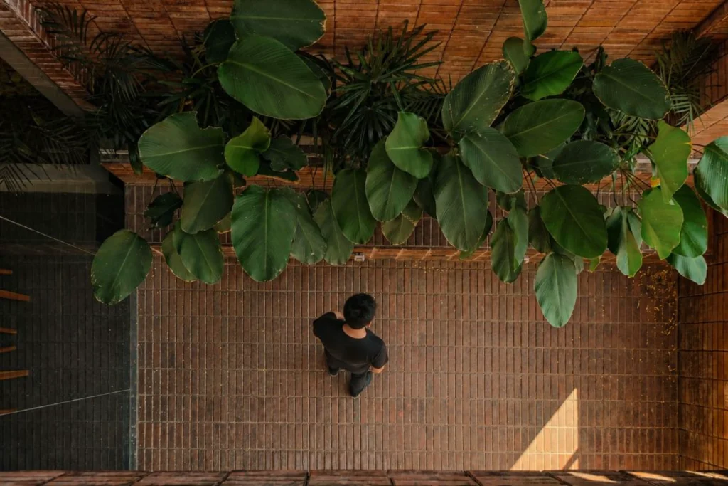 Person standing beside a living green wall of large-leafed plants against a brick surface
