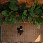 Person standing beside a living green wall of large-leafed plants against a brick surface